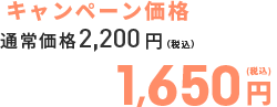 キャンペーン価格　1,650円(税込)